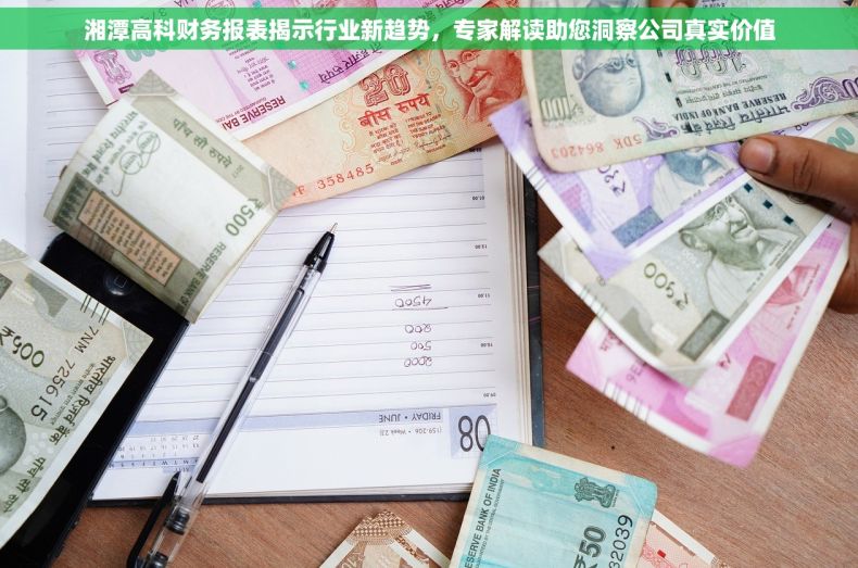 湘潭高科财务报表揭示行业新趋势，专家解读助您洞察公司真实价值