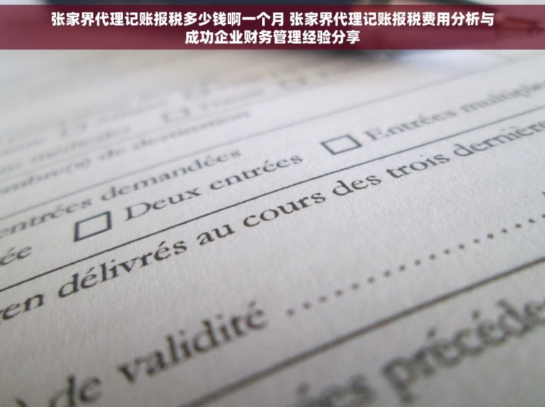 张家界代理记账报税多少钱啊一个月 张家界代理记账报税费用分析与成功企业财务管理经验分享