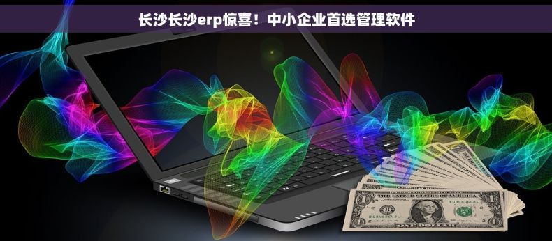 长沙长沙erp惊喜！中小企业首选管理软件