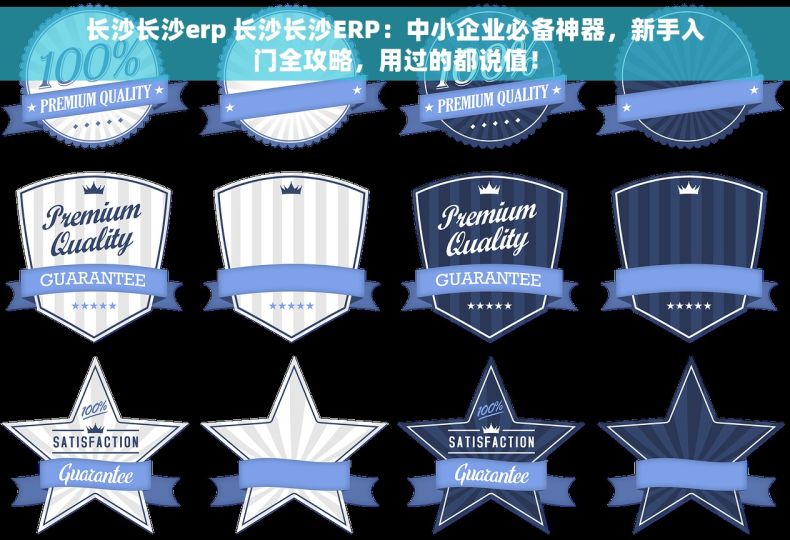 长沙长沙erp 长沙长沙ERP：中小企业必备神器，新手入门全攻略，用过的都说值！