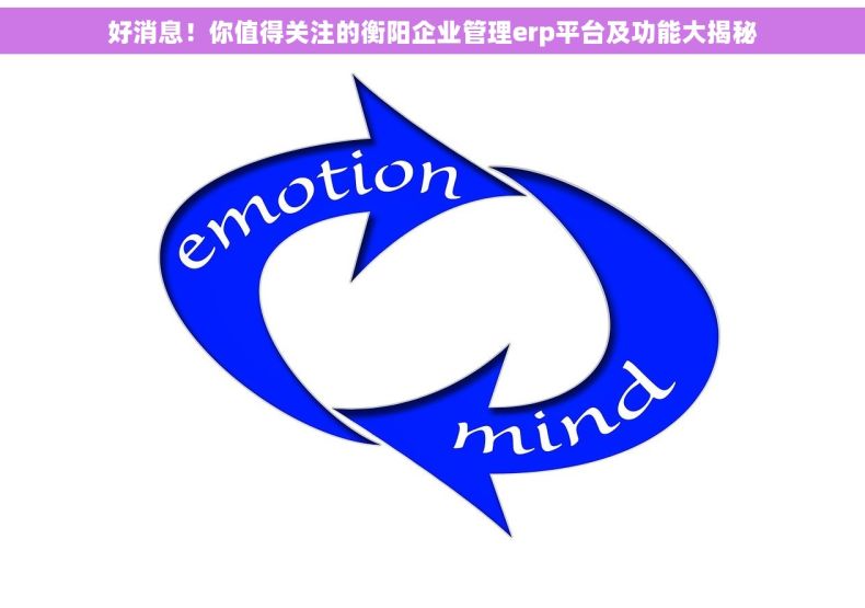 好消息！你值得关注的衡阳企业管理erp平台及功能大揭秘