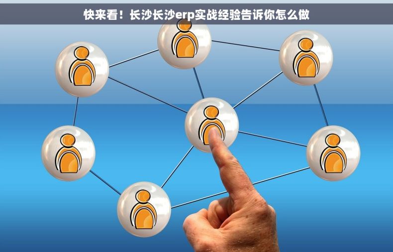 快来看！长沙长沙erp实战经验告诉你怎么做