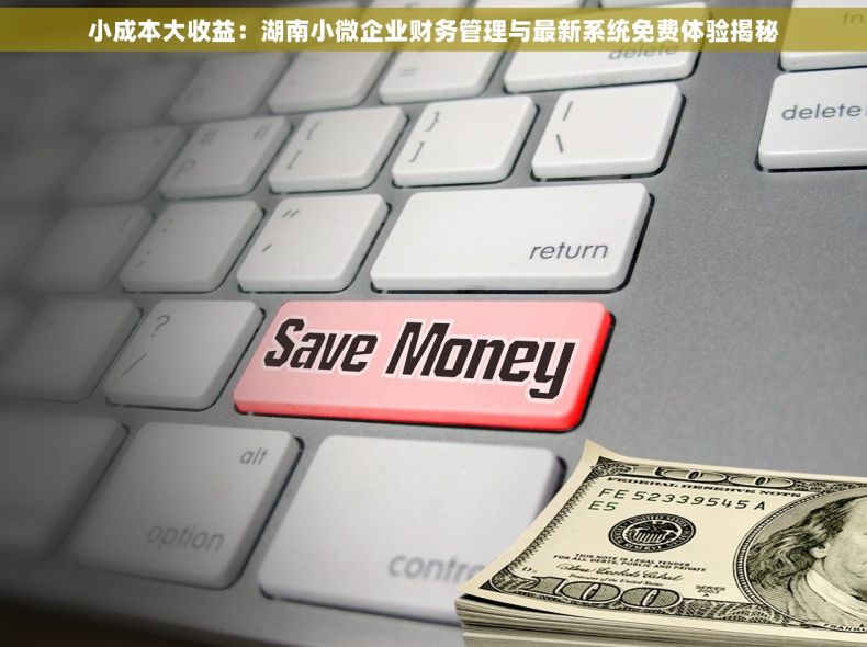 小成本大收益：湖南小微企业财务管理与最新系统免费体验揭秘