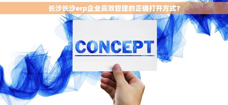 长沙长沙erp企业高效管理的正确打开方式？