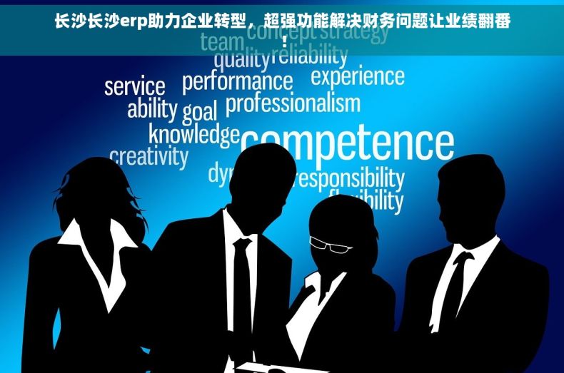 长沙长沙erp助力企业转型，超强功能解决财务问题让业绩翻番！