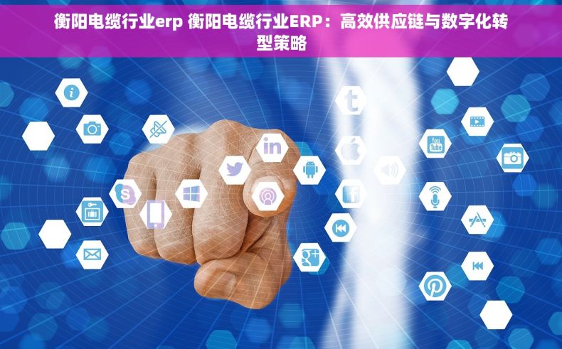 衡阳电缆行业erp 衡阳电缆行业ERP：高效供应链与数字化转型策略