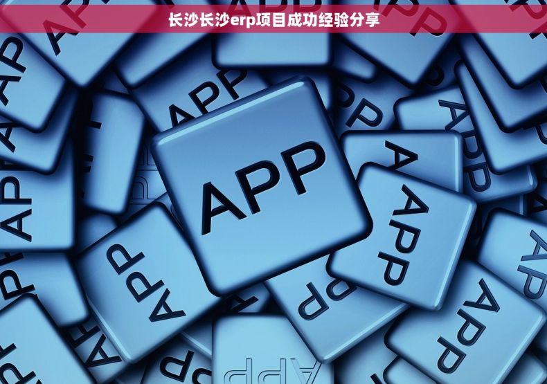 长沙长沙erp项目成功经验分享