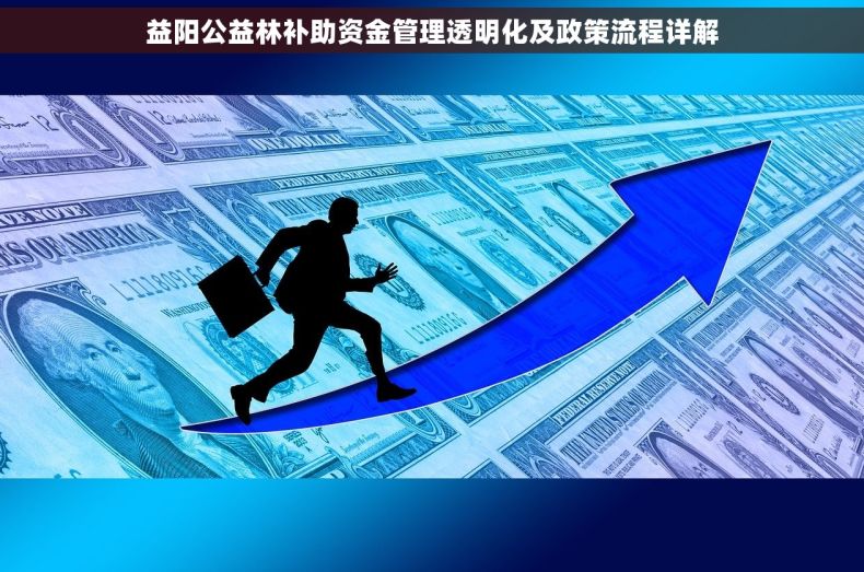 益阳公益林补助资金管理透明化及政策流程详解