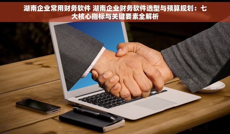 湖南企业常用财务软件 湖南企业财务软件选型与预算规划：七大核心指标与关键要素全解析