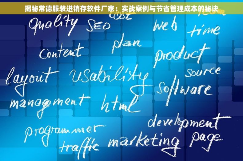 揭秘常德服装进销存软件厂家：实战案例与节省管理成本的秘诀