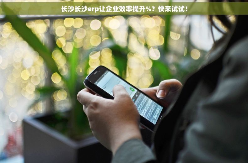 长沙长沙erp让企业效率提升%？快来试试！