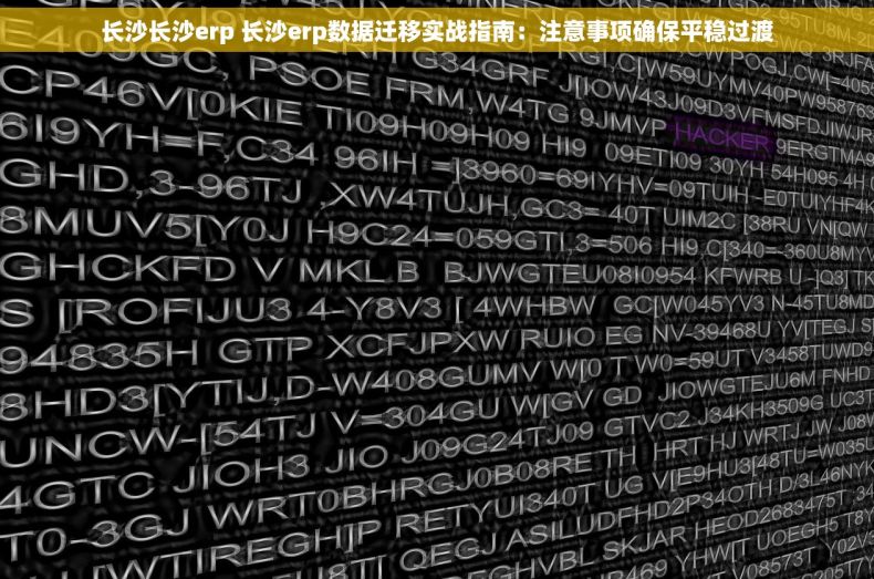 长沙长沙erp 长沙erp数据迁移实战指南：注意事项确保平稳过渡