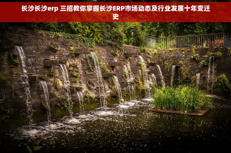 长沙长沙erp 三招教你掌握长沙ERP市场动态及行业发展十年变迁史