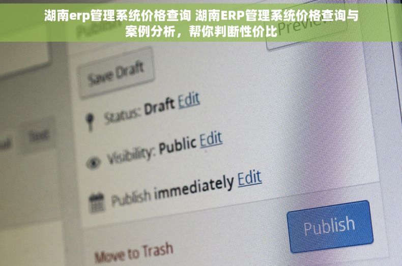 湖南erp管理系统价格查询 湖南ERP管理系统价格查询与案例分析，帮你判断性价比
