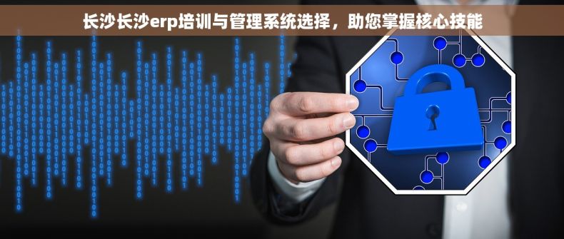 长沙长沙erp培训与管理系统选择，助您掌握核心技能