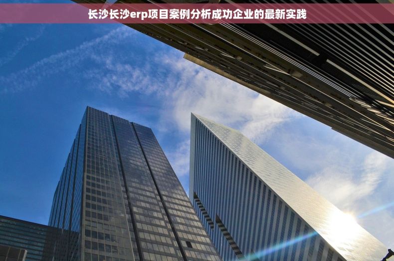 长沙长沙erp项目案例分析成功企业的最新实践