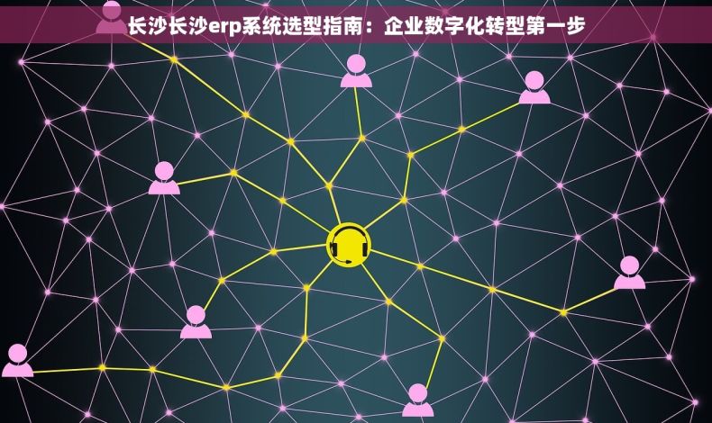 长沙长沙erp系统选型指南：企业数字化转型第一步
