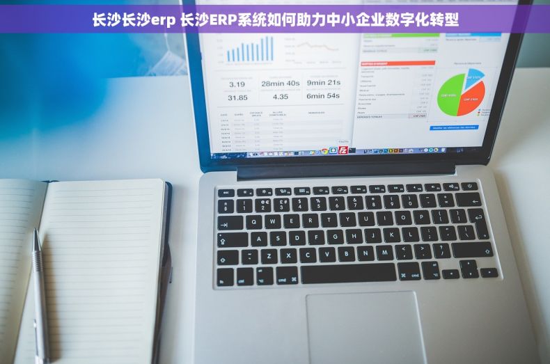 长沙长沙erp 长沙ERP系统如何助力中小企业数字化转型