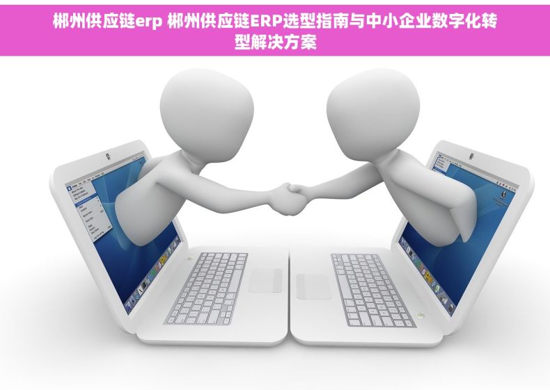 郴州供应链erp 郴州供应链ERP选型指南与中小企业数字化转型解决方案