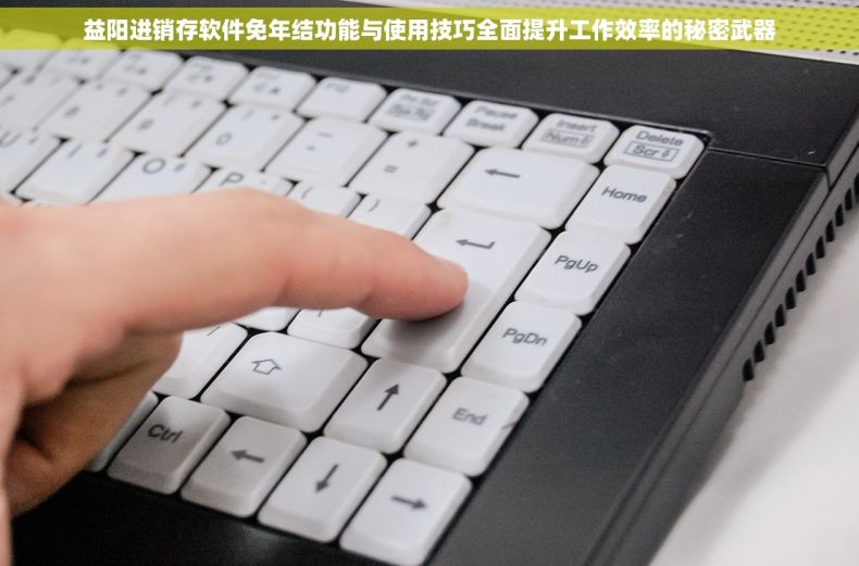 益阳进销存软件免年结功能与使用技巧全面提升工作效率的秘密武器