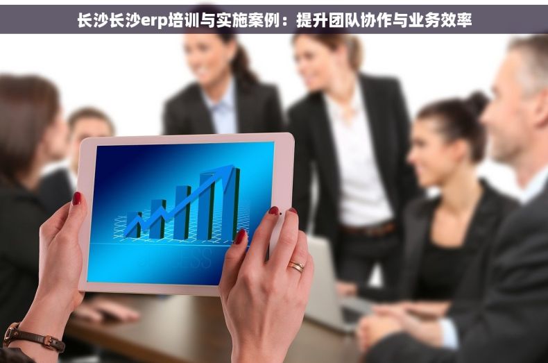 长沙长沙erp培训与实施案例：提升团队协作与业务效率