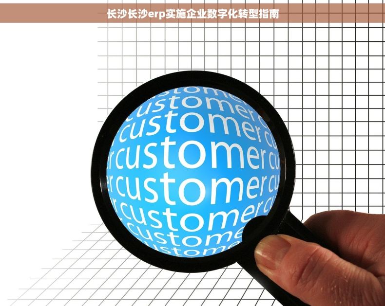 长沙长沙erp实施企业数字化转型指南