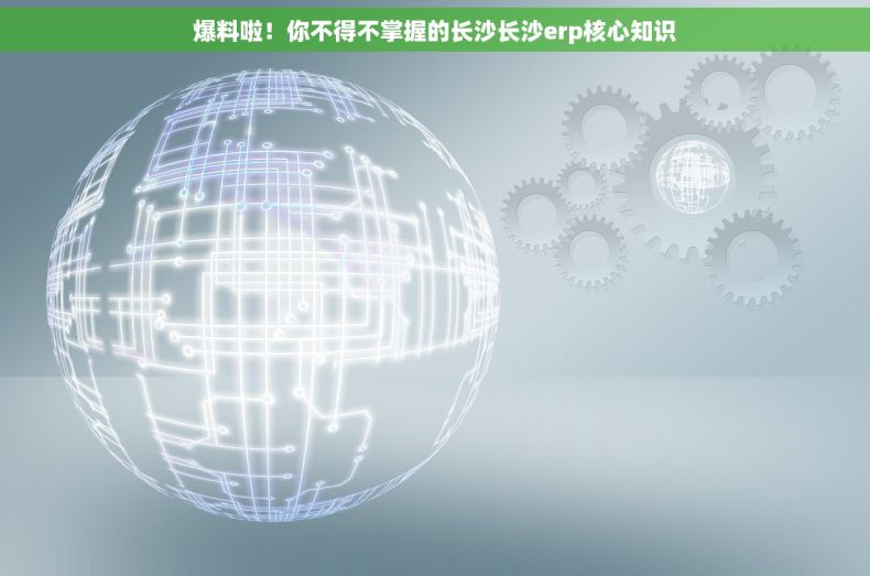 爆料啦！你不得不掌握的长沙长沙erp核心知识