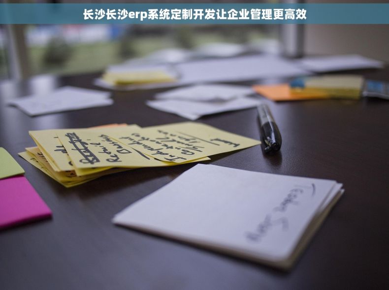 长沙长沙erp系统定制开发让企业管理更高效