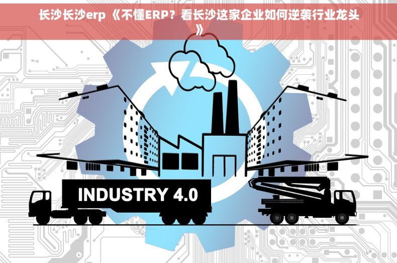 长沙长沙erp 《不懂ERP？看长沙这家企业如何逆袭行业龙头》