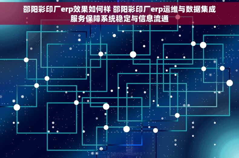 邵阳彩印厂erp效果如何样 邵阳彩印厂erp运维与数据集成服务保障系统稳定与信息流通