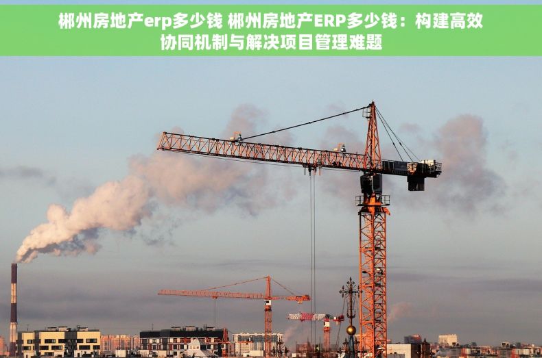 郴州房地产erp多少钱 郴州房地产ERP多少钱：构建高效协同机制与解决项目管理难题