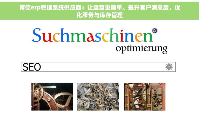 常德erp管理系统供应商：让运营更简单、提升客户满意度，优化服务与库存管理