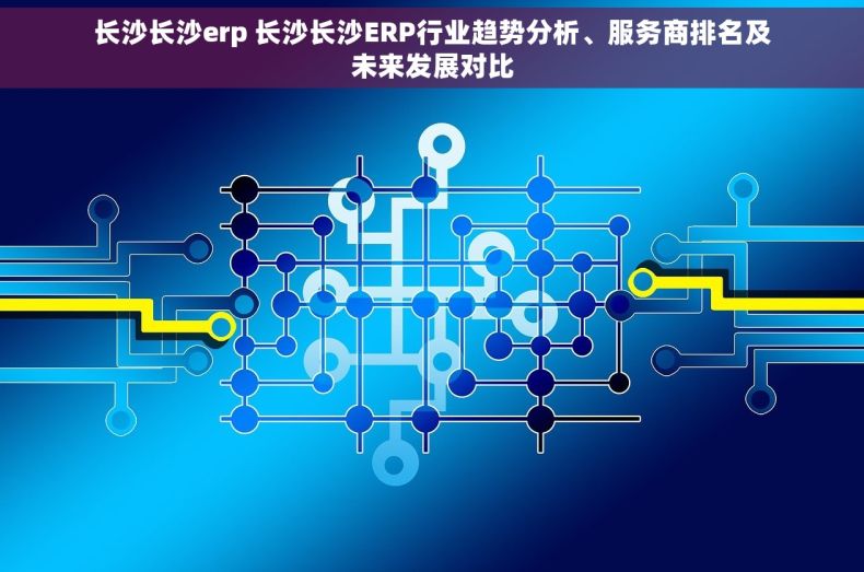 长沙长沙erp 长沙长沙ERP行业趋势分析、服务商排名及未来发展对比