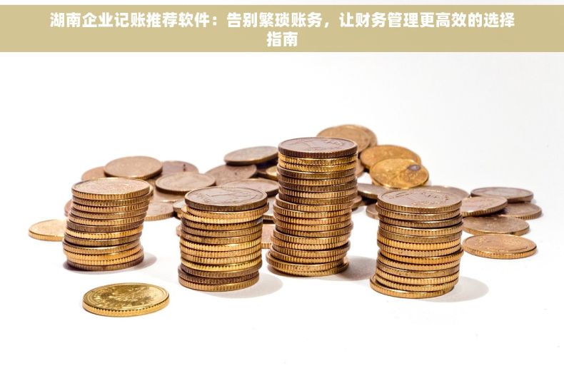 湖南企业记账推荐软件：告别繁琐账务，让财务管理更高效的选择指南