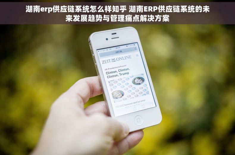 湖南erp供应链系统怎么样知乎 湖南ERP供应链系统的未来发展趋势与管理痛点解决方案