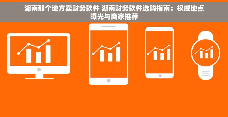 湖南那个地方卖财务软件 湖南财务软件选购指南：权威地点曝光与商家推荐