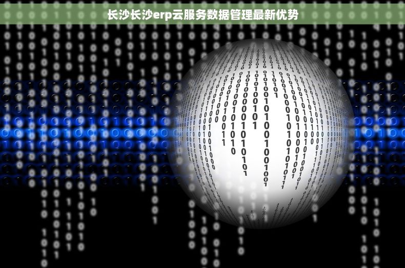 长沙长沙erp云服务数据管理最新优势