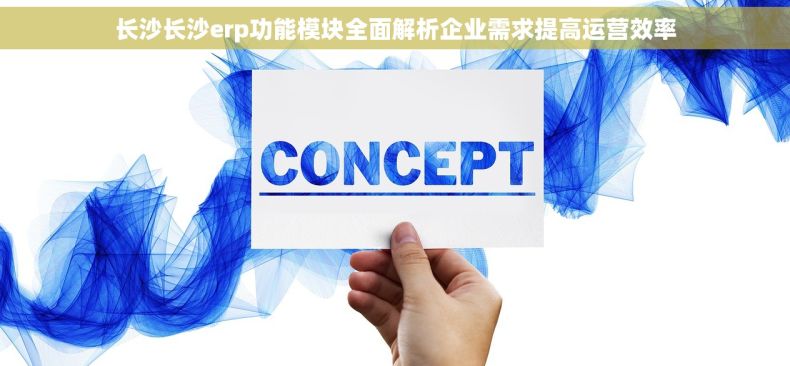 长沙长沙erp功能模块全面解析企业需求提高运营效率