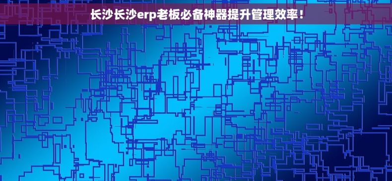 长沙长沙erp老板必备神器提升管理效率！