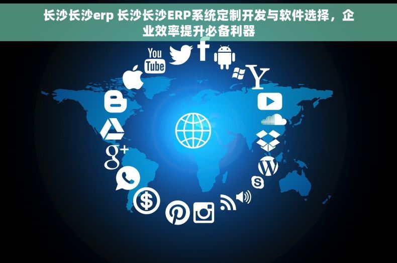 长沙长沙erp 长沙长沙ERP系统定制开发与软件选择，企业效率提升必备利器