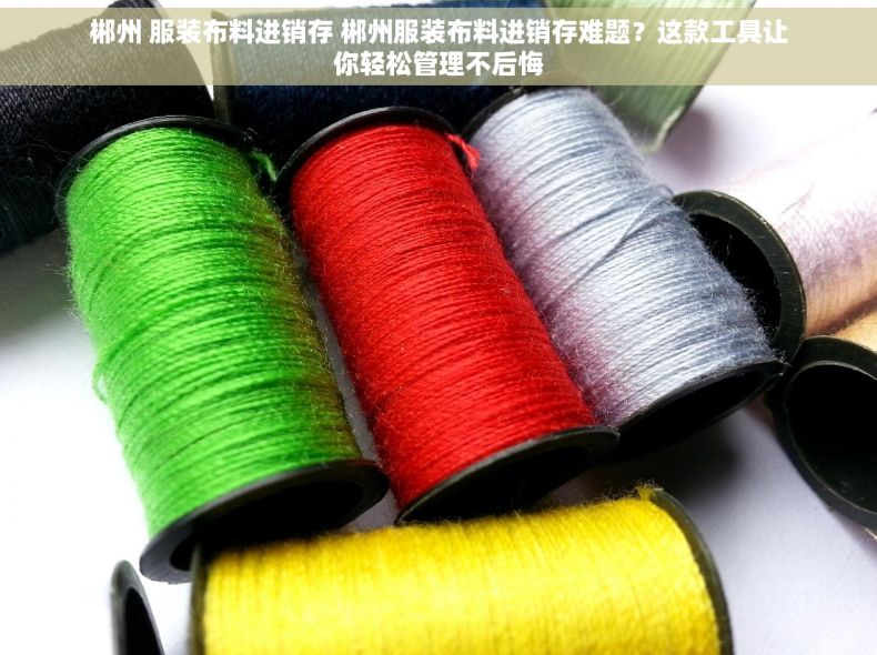 郴州 服装布料进销存 郴州服装布料进销存难题？这款工具让你轻松管理不后悔