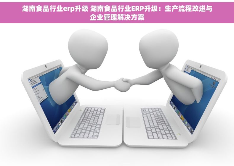 湖南食品行业erp升级 湖南食品行业ERP升级：生产流程改进与企业管理解决方案