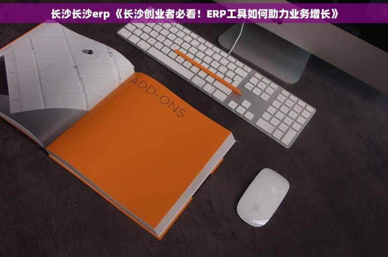 长沙长沙erp 《长沙创业者必看！ERP工具如何助力业务增长》
