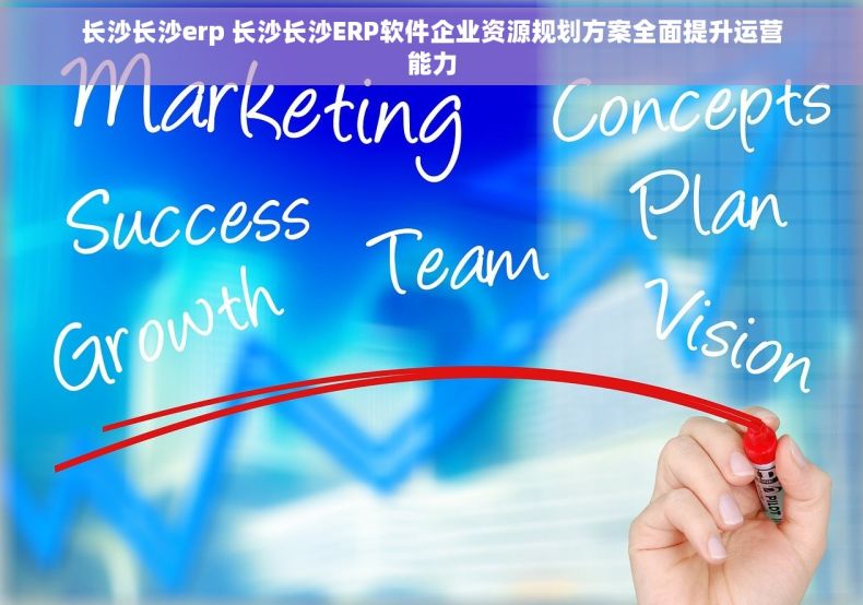 长沙长沙erp 长沙长沙ERP软件企业资源规划方案全面提升运营能力