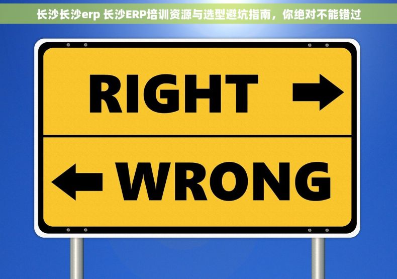 长沙长沙erp 长沙ERP培训资源与选型避坑指南，你绝对不能错过