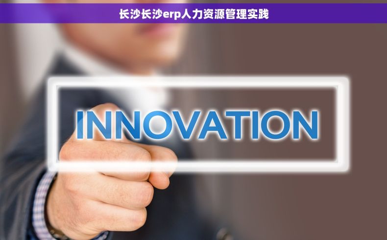 长沙长沙erp人力资源管理实践