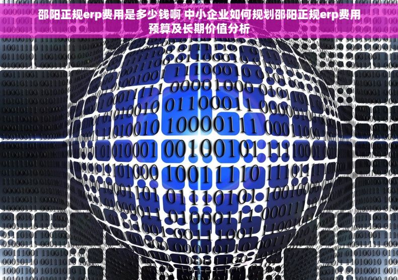 邵阳正规erp费用是多少钱啊 中小企业如何规划邵阳正规erp费用预算及长期价值分析