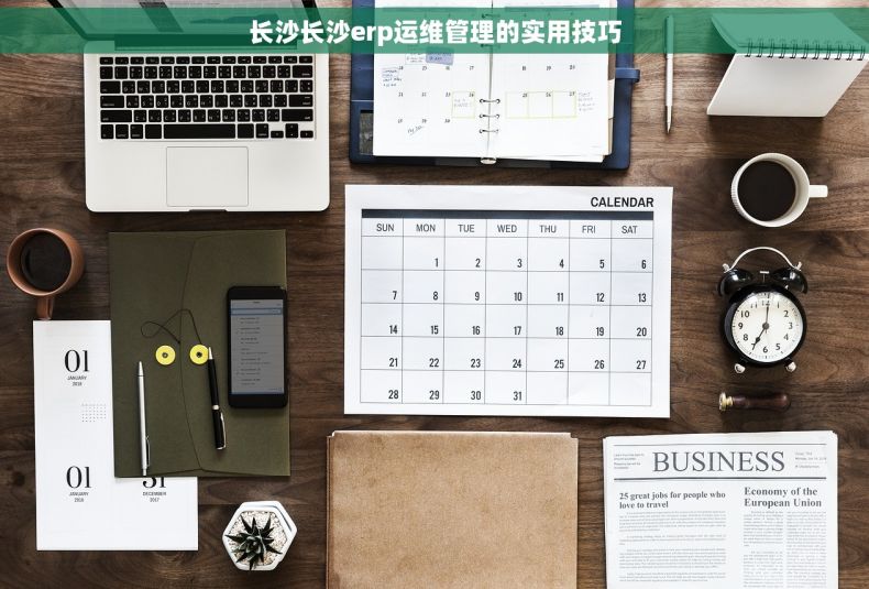 长沙长沙erp运维管理的实用技巧