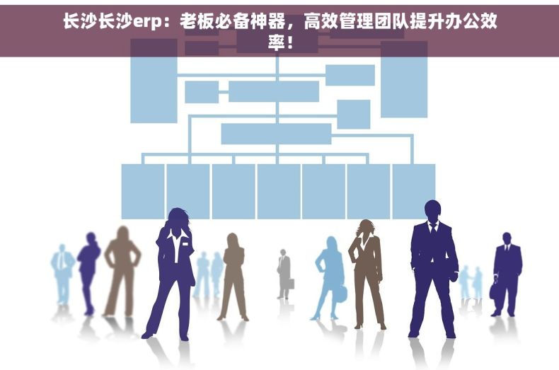 长沙长沙erp：老板必备神器，高效管理团队提升办公效率！