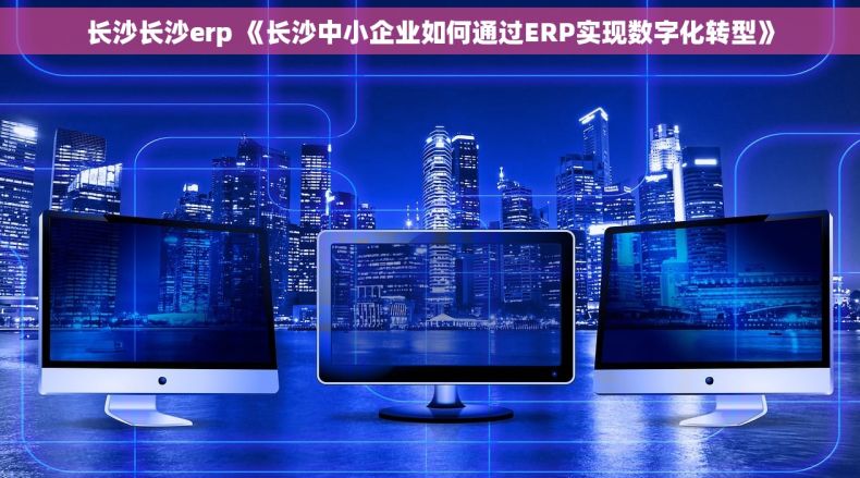 长沙长沙erp 《长沙中小企业如何通过ERP实现数字化转型》